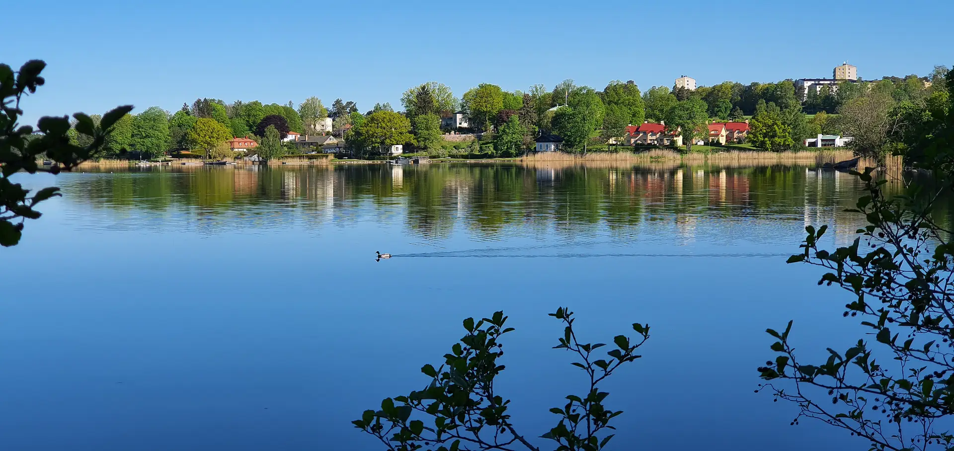 Professionell radonsanering i Nacka